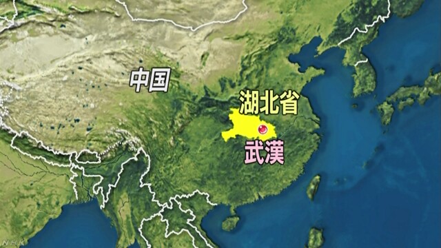 Bisa Menyebar Cepat WHO Peringatkan Virus Wuhan, Apa Sih Bahayanya?
