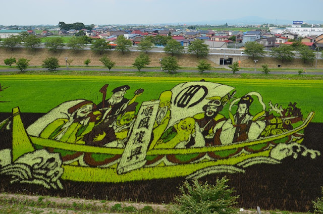 Tanbo Art, Seni Melukis di Atas Sawah Jepang