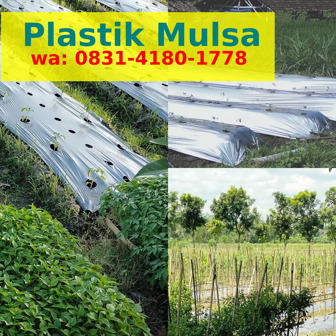 Mulsa Serpihan Kayu Ö83l.Ꮞl8Ö.l778{WA}