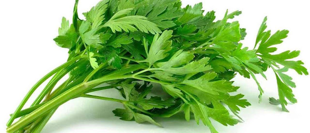 9 Makanan yang Dapat Mengatasi Perut Kembung