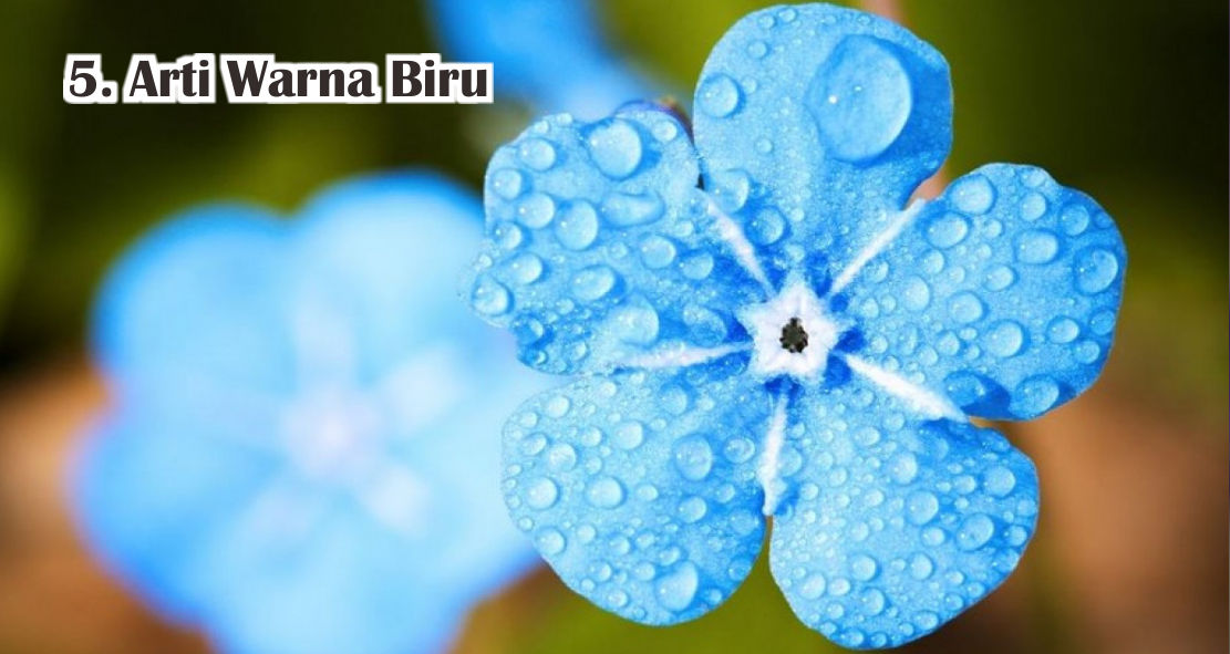 Pengaruh Pemilihan Warna Dalam Memilih Souvenir Promosi