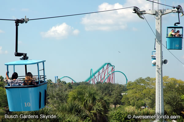 Melihat Taman Bermain Busch Gardens