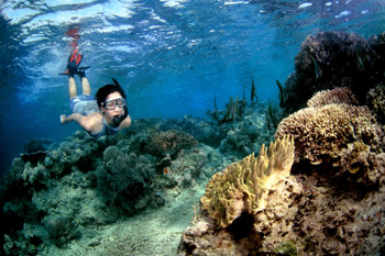 [Ajakan] Trip Ke Karimunjawa 20-22 April 2013