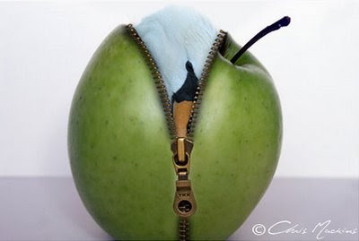 &#91;PIC++&#93; Manipulasi Photoshop Pada Buah-Buahan