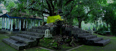 kaskus-image