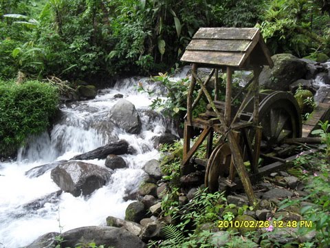 &#91;CoC Regional: Lokasi Wisata&#93; Destinasi Wajib, Telaga Pucung Banyumas