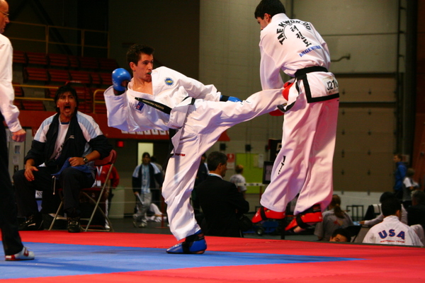 The Original, Taekwon-Do (ITF)