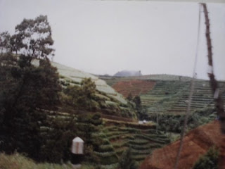 Kisah nyata tentang Desa yang hilang dalam semalam di Dieng Wonosobo