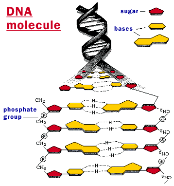 10-jenis-gangguan-mental-yang-kontroversial