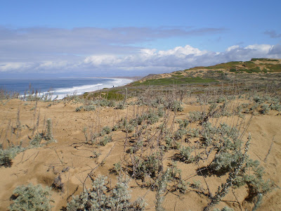 Monterey Bay Shores, Resort Paling Ramah Lingkungan di Dunia.