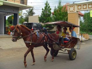 angkutan umum yang mulai punah di ibukota tercinta (jakarta)