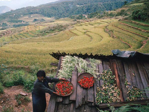 Mengenal Keindahan Negara Bhutan