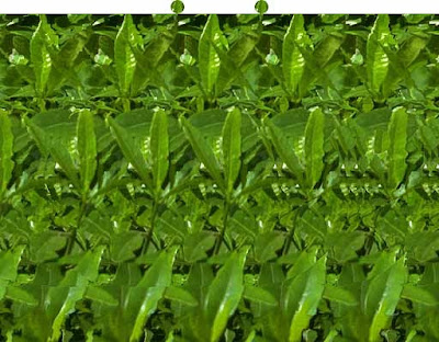 Stereogram, cara melihat gambar 2D sehingga muncul gambar 3D.