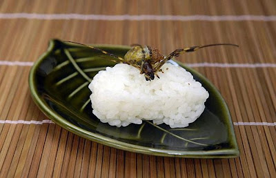 Makanan Lezat dari Jepang
