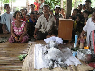 Mahluk aneh ditemukan di pedalaman hutan Thailand