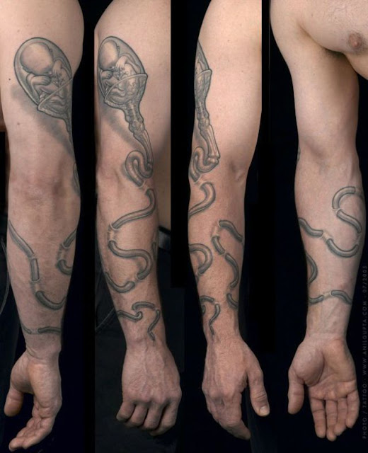 &#91;PIC++&#93; Tato Sains Yang Unik Dan Kreatif