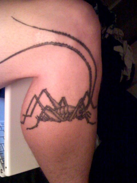&#91;PIC++&#93; Tato Sains Yang Unik Dan Kreatif