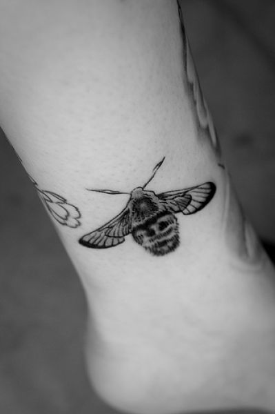 &#91;PIC++&#93; Tato Sains Yang Unik Dan Kreatif