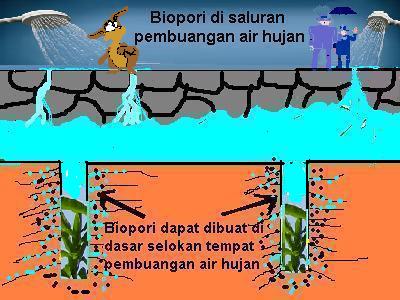 Pengertian dan Cara Pembuatan Lubang Biopori