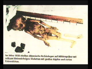 ~ஜ۩۩ஜ~ Kaum Dropa Tibet, Saksi Keberadaan Alien ~ஜ۩۩ஜ~