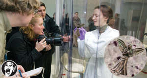 arca-berusia-200000-tahun-ditemukan-di-bulan