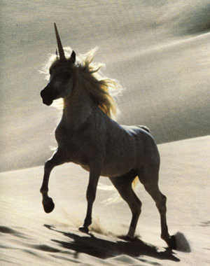 Legenda Unicorn dan penampakannya dalam sejarah