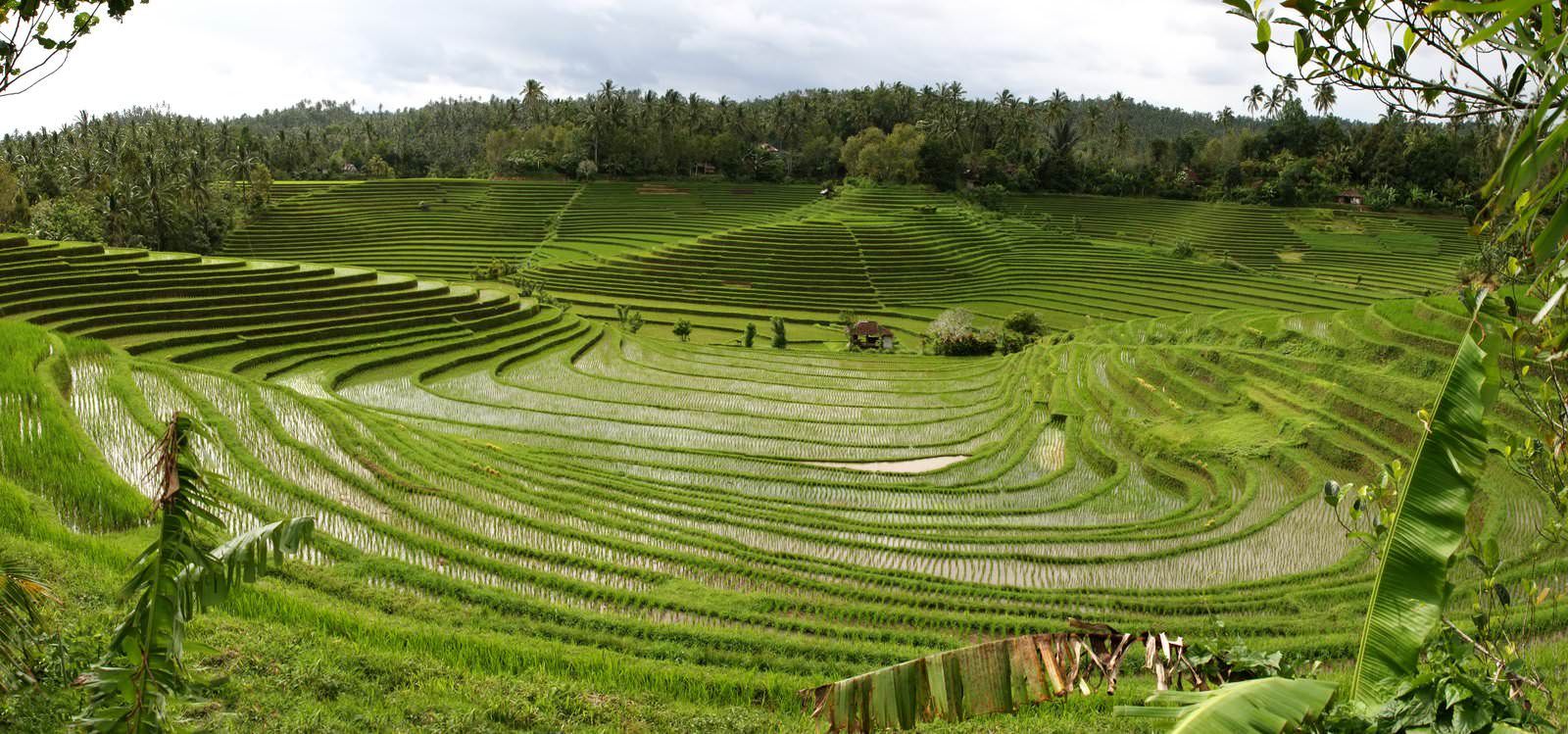 Keren gan, 8 Situs Warisan dunia UNESCO di Indonesia