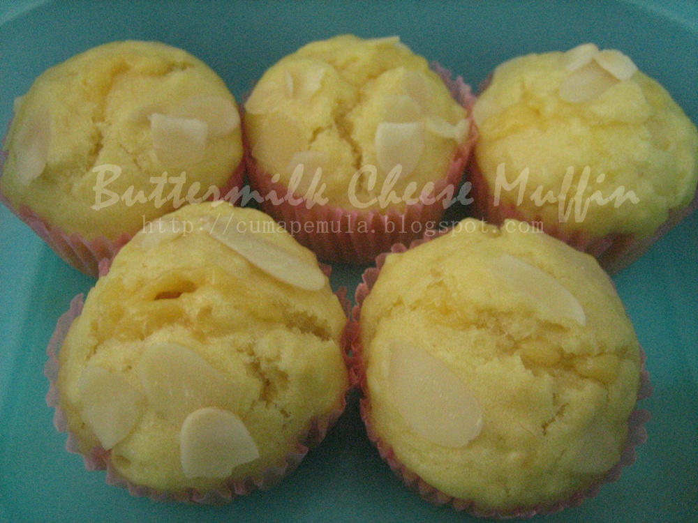 Asal usul muffin dan jenis-jenisnya ;D