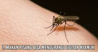 Kamu Gak Suka Dengan Pisang? Coba Baca Ini Dulu!