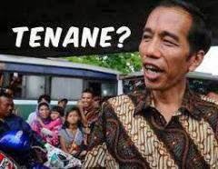 FPI Setuju Pasal Penghinaan Presiden Diberlakukan