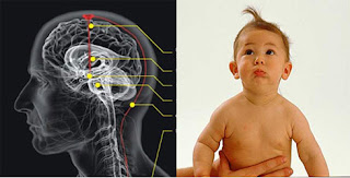 5-mitos-tentang-perkembangan-otak-bayi