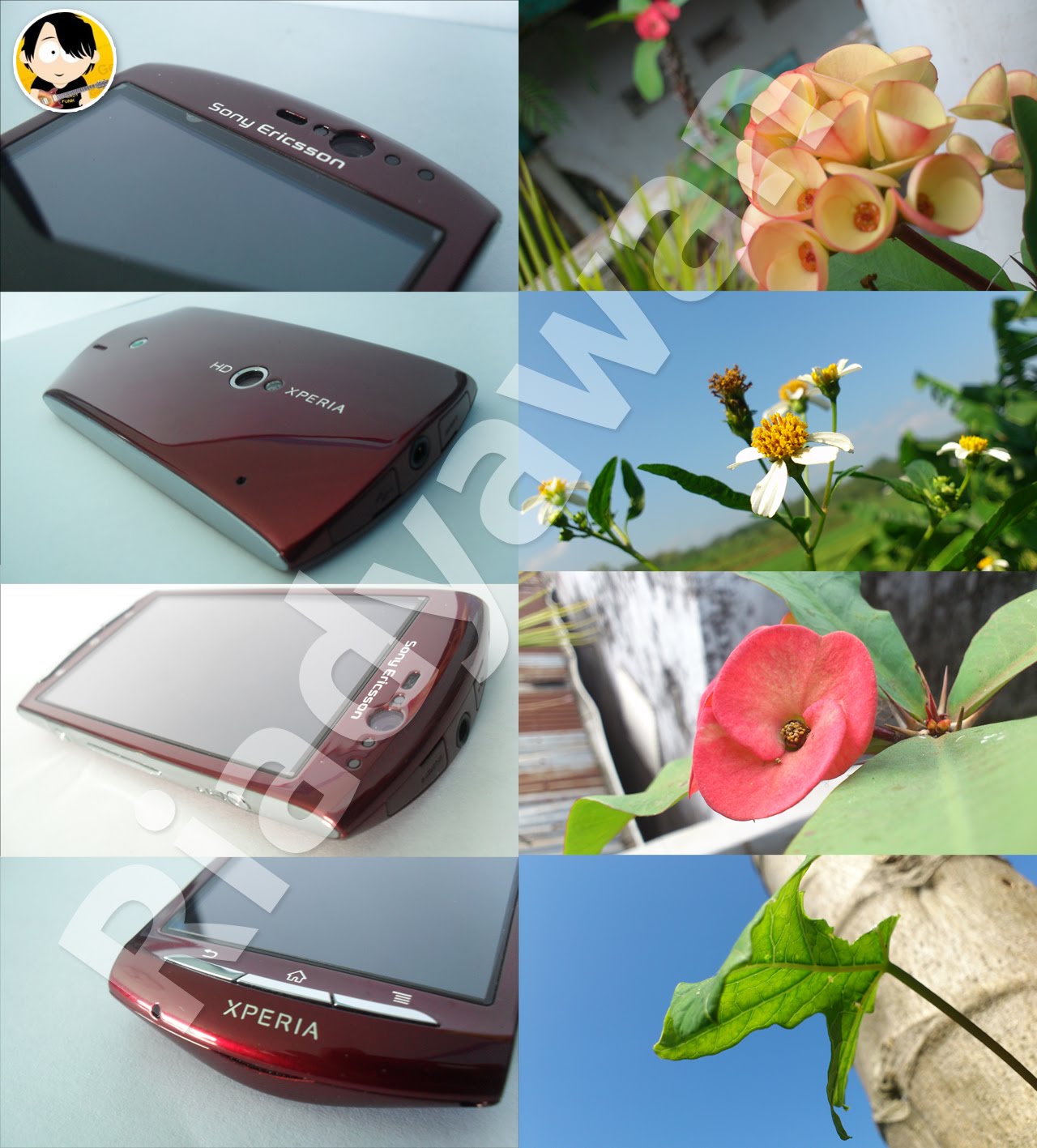 ~ Sony Xperia Pro , Active , Arc S , Sola , Xperia P, S Baru dan Termurah Gan ~