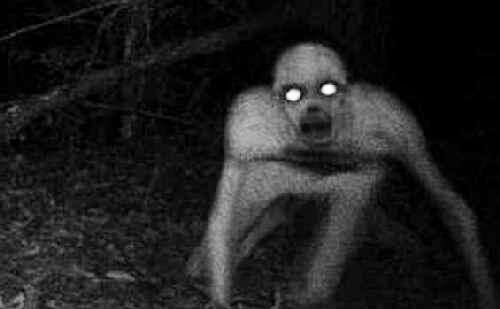 Jangan Lakukan 4 Hal Ini, Atau Kamu Akan Memanggil Hantu Secara Tidak Sengaja