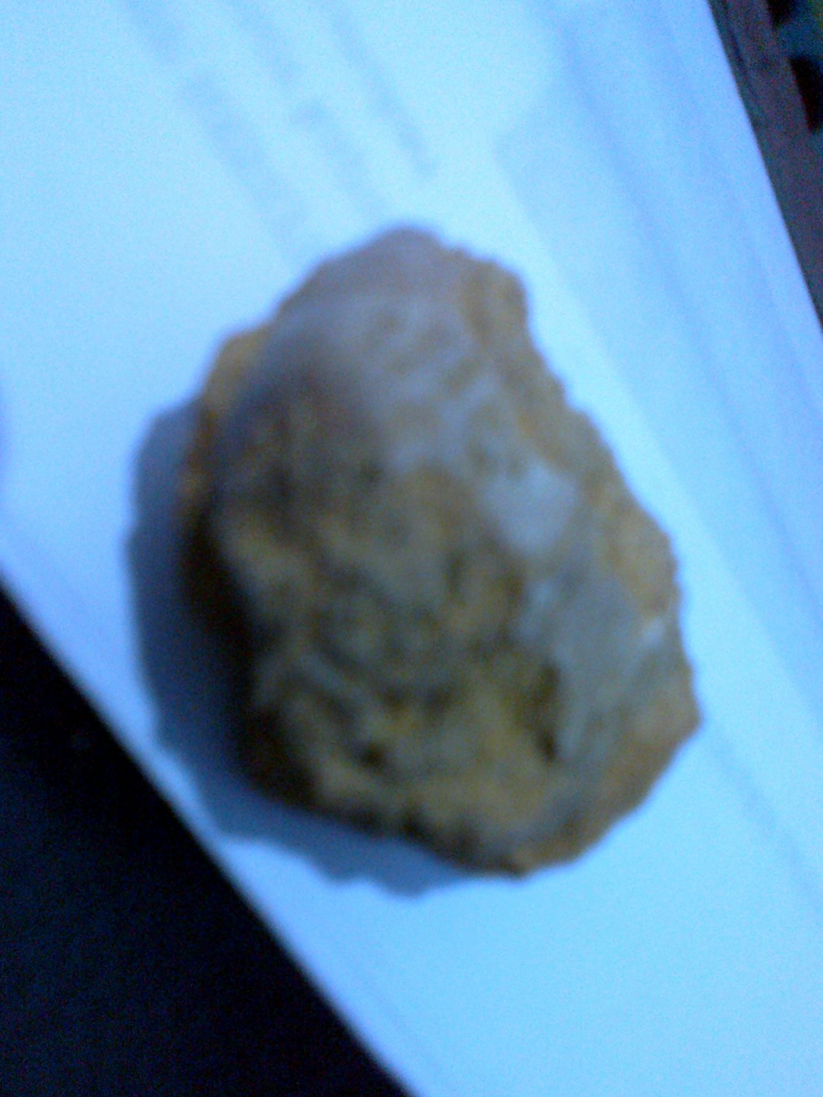 Hasil temuan Fosil - fosil ane ... : )