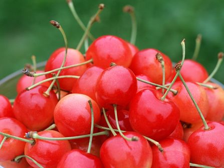 8 Buah-Buahan dengan Kandungan Antioksidan Terbanyak di Dunia