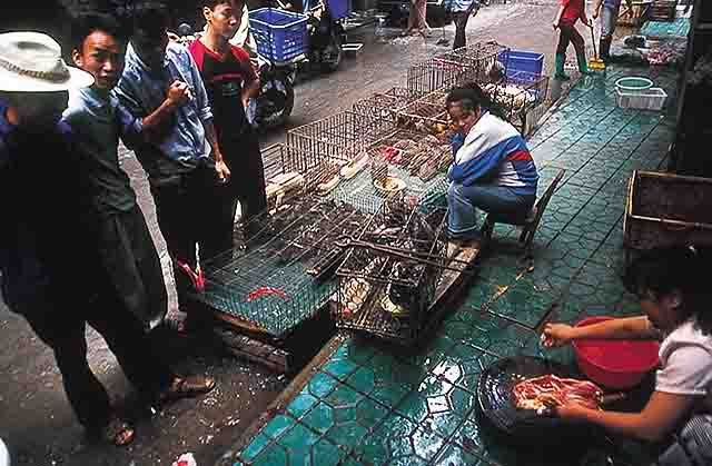 Nasi dan Sup Daging Kucing Dari China &#91; Full Pict &#93;