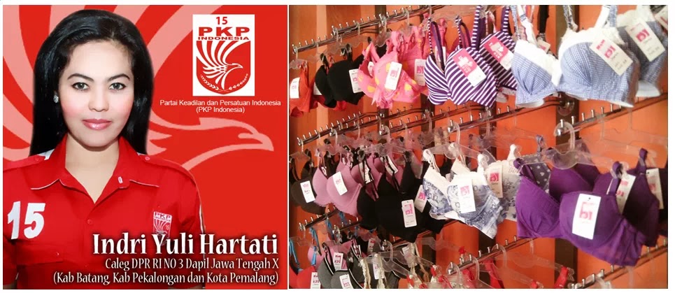 Daftar Caleg Bening 2014 (hanya di negeri sange) dipilih dipilih dipilih