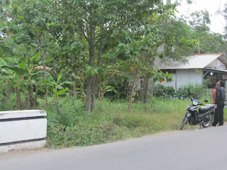 Jual Tanah Kebun Indramayu Kota