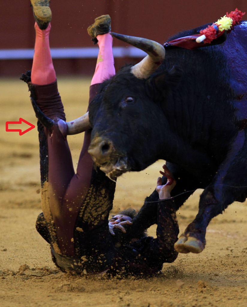 UPSS...Aksi Ngeri Ditanduk BANTENG .. Ngeriiii gan...