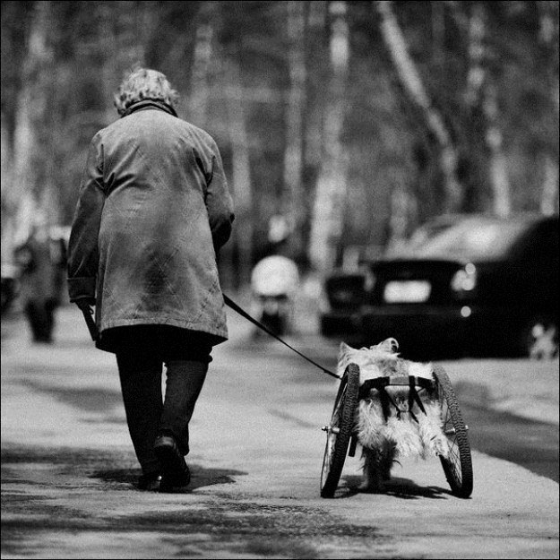 10 Foto Ini Bikin Terharu