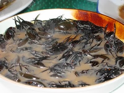 5 Makanan Paling Menjijikkan di Dunia