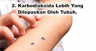 Ciri-ciri manusia yang disukai nyamuk