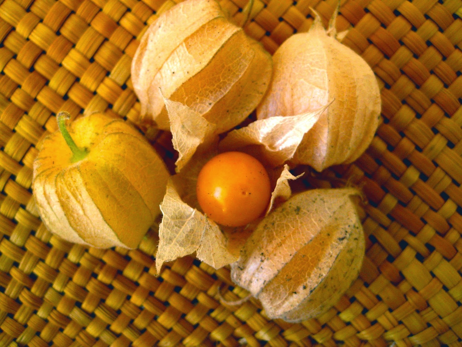 Rasa Buah-buah Ini Eksotis dan Unik, Udah Jarang Banget Ditemuin!!