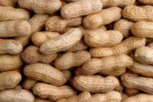 &#91;Agan Percaya Gak?&#93; 7 Makanan ini dipercaya dapat membuat kaya