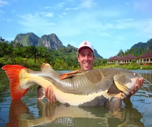 10 Jenis Ikan Lele Terbesar Yang Pernah Tertangkap