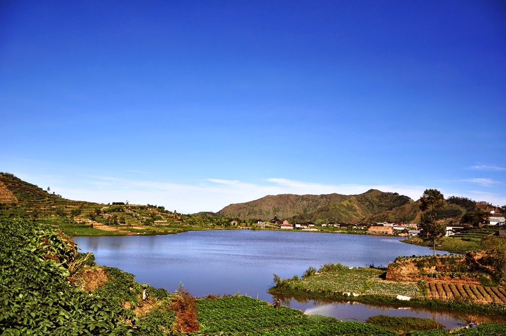 10 Pesona Wisata Didataran Tinggi Dieng Yang Harus Anda Ketahui 
