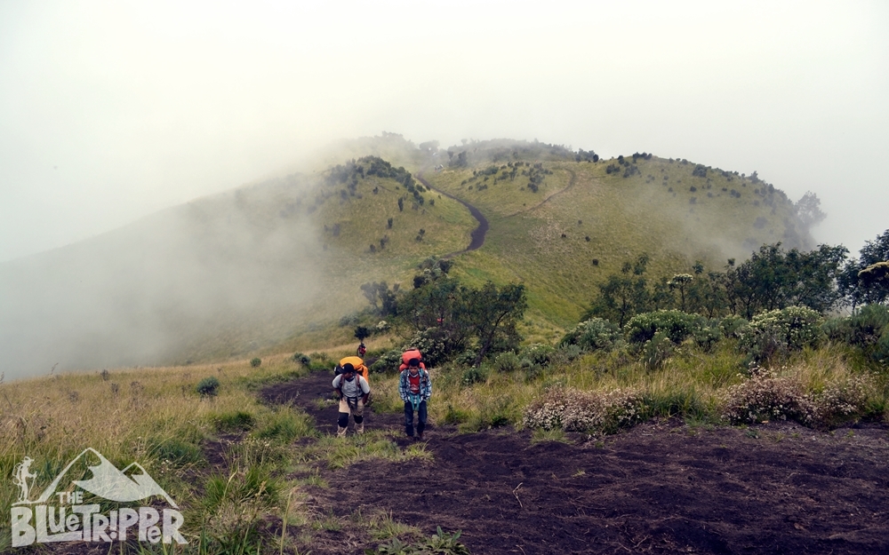 Referensi Catatan Perjalanan Gunung Merbabu