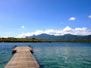 Wisata Pulau Menjangan, Keindahan Taman Bawah Laut di Bali Barat
