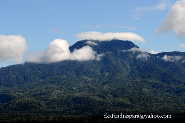 Gunung Pesagi Surganya para Pendaki