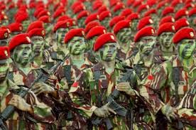 PASUKAN KHUSUS TNI &#91;MENGENANG PELTU TATANG KOSWARA&#93;